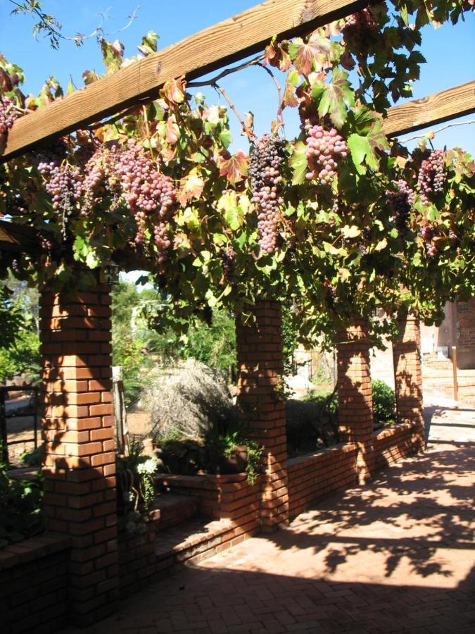 Quinta Maria En La Ruta Del Vino Bed & Breakfast Valle de Guadalupe Exterior photo