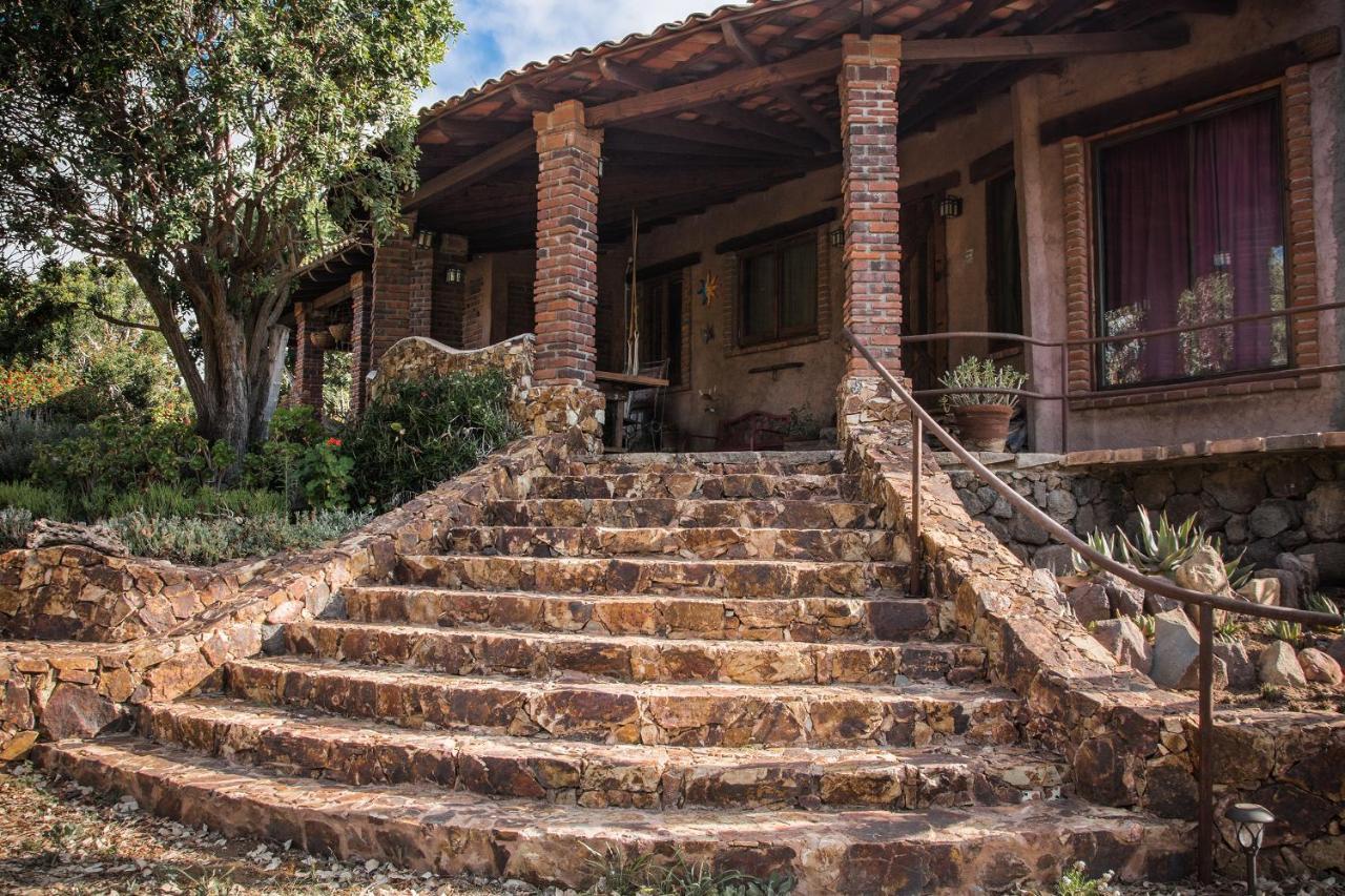 Quinta Maria En La Ruta Del Vino Bed & Breakfast Valle de Guadalupe Exterior photo