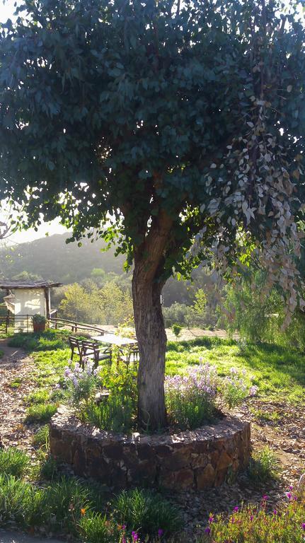 Quinta Maria En La Ruta Del Vino Bed & Breakfast Valle de Guadalupe Exterior photo